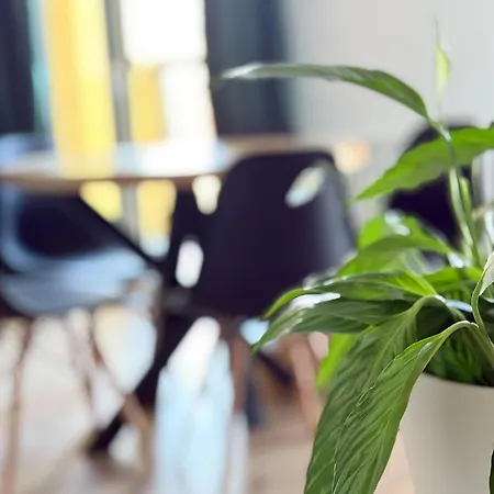 Legnicka 36 Apartamento