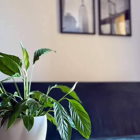 Legnicka 36 Apartamento *