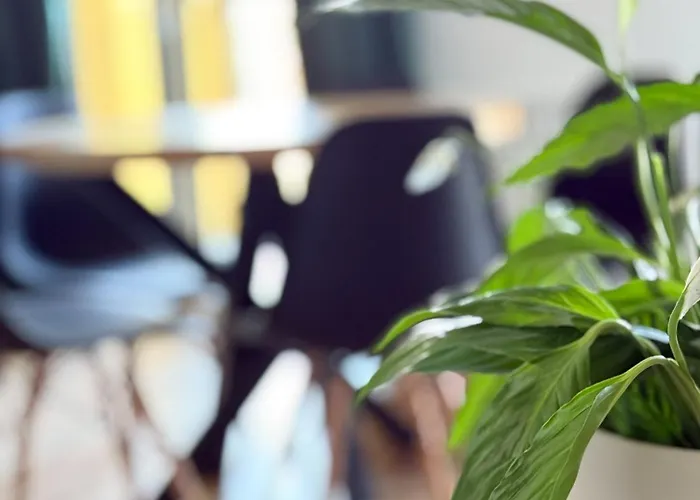 Legnicka 36 Apartment