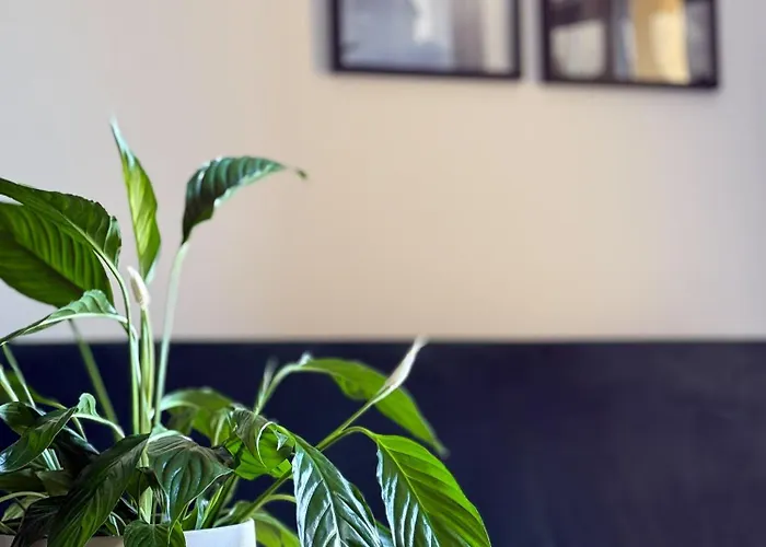 Legnicka 36 Apartment *